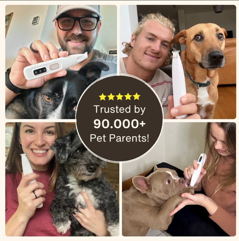 AuraPaws™ - Pet Paw Hair Trimmer